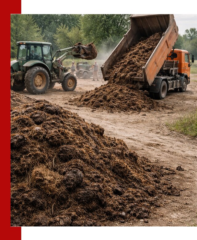 Доставка навоза самосвалами в Холмске для сельхозпотребностей